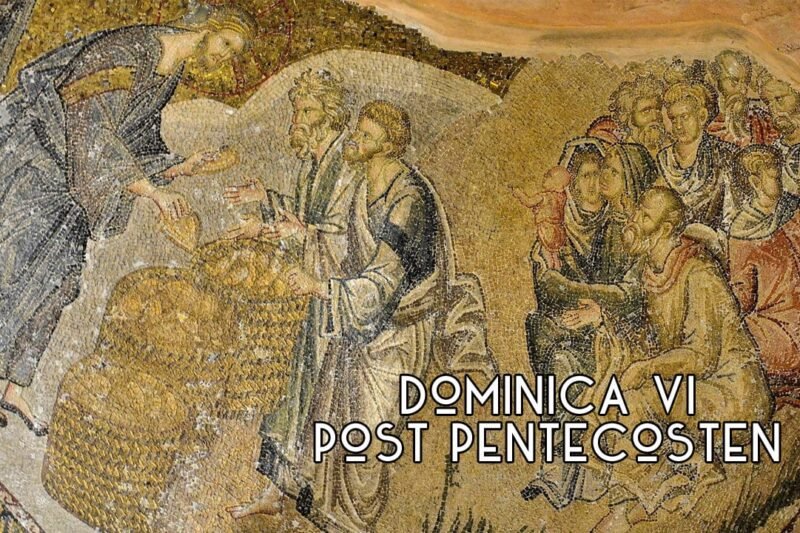 Colligite Fragmenta: 6th Sunday after Pentecost