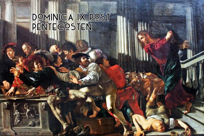 Colligite Fragmenta: 9th Sunday after Pentecost