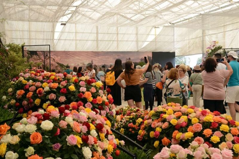 Atibaia é destaque nacional de produção de flores