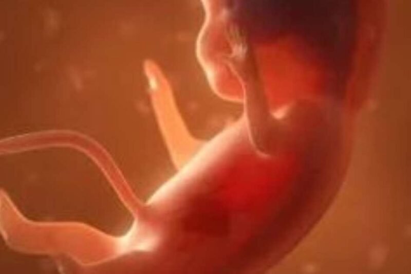 Projeto que derruba regras sobre aborto legal em crianças vítimas de abuso avança na Câmara