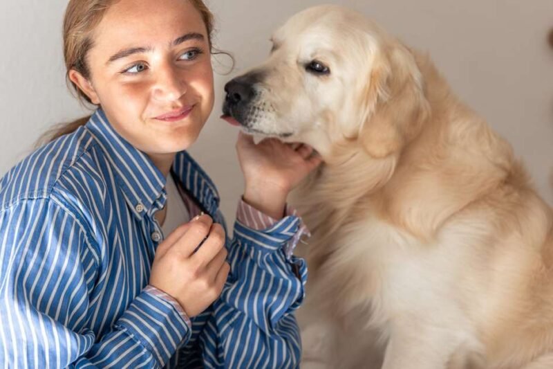 5 raças de cães mais fáceis de adestrar: conheça os campeões da obediência